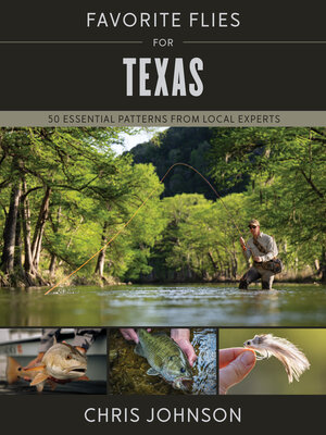 cover image of Favorite Flies for Texas